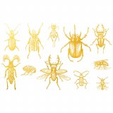 Gold Luster, Bugs 1