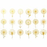 Gold Luster, Dandelion