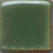 Green Shino 10lb Dry
