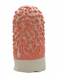 Bead Glaze Red