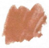 Semi-Moist Salmon Refill DISC