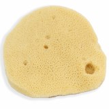 Impresa [9 pack] pottery sponge - 3 sets of 3 densities - art sponges for  painting and clay shaping - pottery tools and supplies - ki