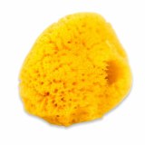 Silk Sponge Large