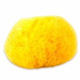 Sea Wool Sponge Large - The Ceramic Shop