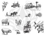 The Farm Silk Screen DISC