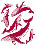 Whales Decal Red