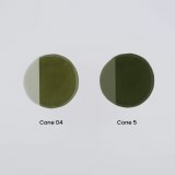 Additional picture of Colored Slip Ivy