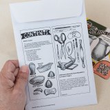 Additional picture of Jen Allen Juicer Template