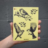 Additional picture of Black Birds 05 Decal