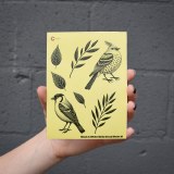 Additional picture of Black Birds 01 Decal