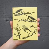 Additional picture of Black Fall Birds 04 Decal