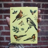 Additional picture of Fall Birds 01 Decal