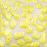 Additional picture of Yellow Bead Glaze Pint