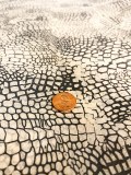 Additional picture of Croc Skin Underglaze Decal