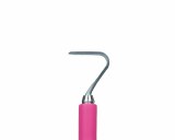 Additional picture of The Seven Tool Pitaya