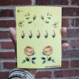 Additional picture of Watercolor Flowers 02