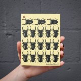Additional picture of Black Beetle 01 Decal
