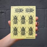 Additional picture of Black Beetle 04 Decal