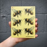 Additional picture of Color Bumble Bees 02