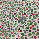 Additional picture of Winter Berry Decal Multicolor