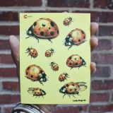 Additional picture of Lady Bugs 01 Decal