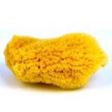 Sea Wool Sponge Large - The Ceramic Shop