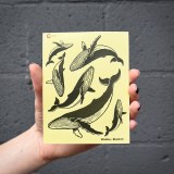 Additional picture of Whales Decal Black