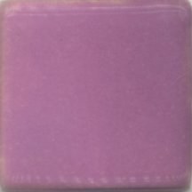Violet Pint