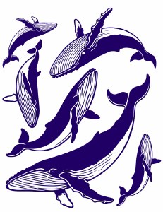 Whales Decal Dark Blue