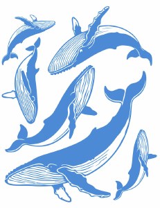 Whales Decal Light Blue