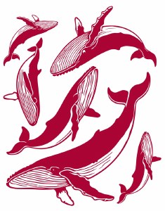 Whales Decal Red