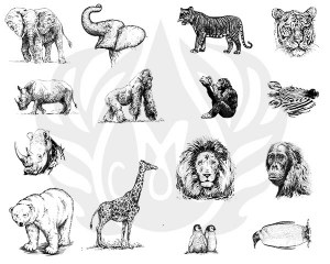 Zoo Animals Silk Screen DISC