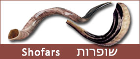 Shofars