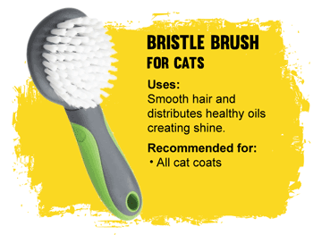 Best cat brush for medium hair best sale