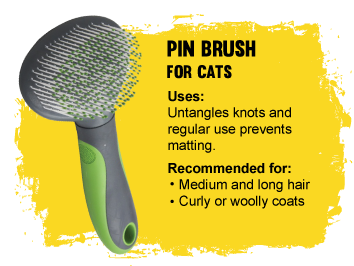 Flea brush for outlet cats