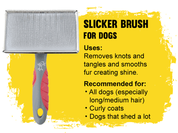 dog grooming slicker brush