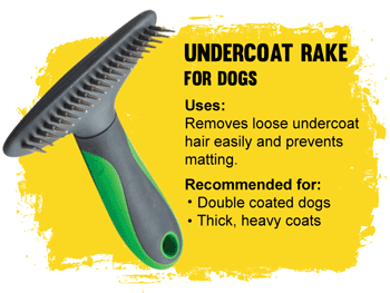 dog brush undercoat rake