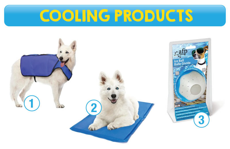 dog cooling products