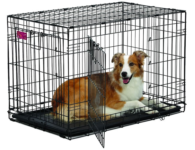 Masterpet dog shop crate