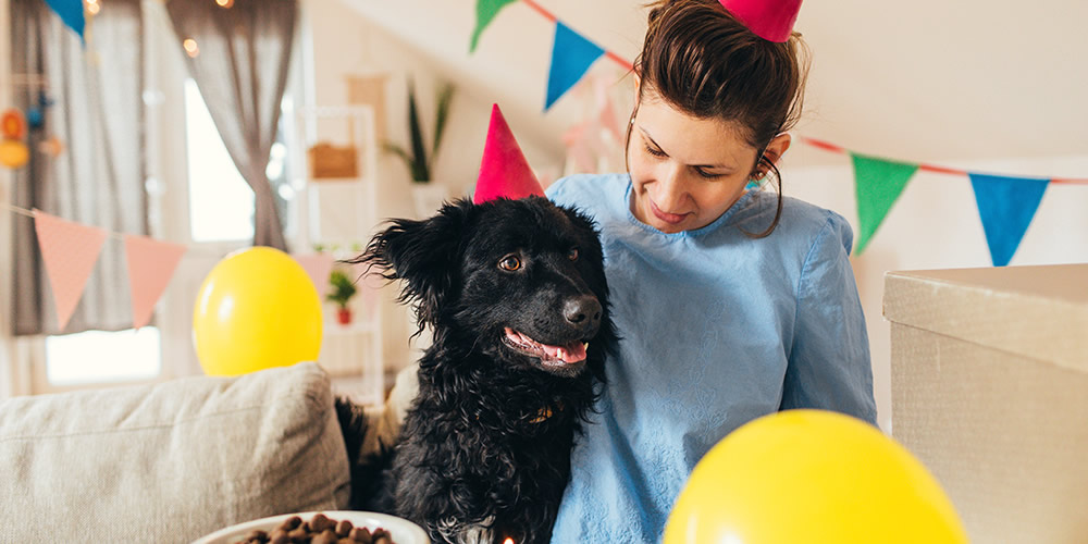 throwing a dog birthday party