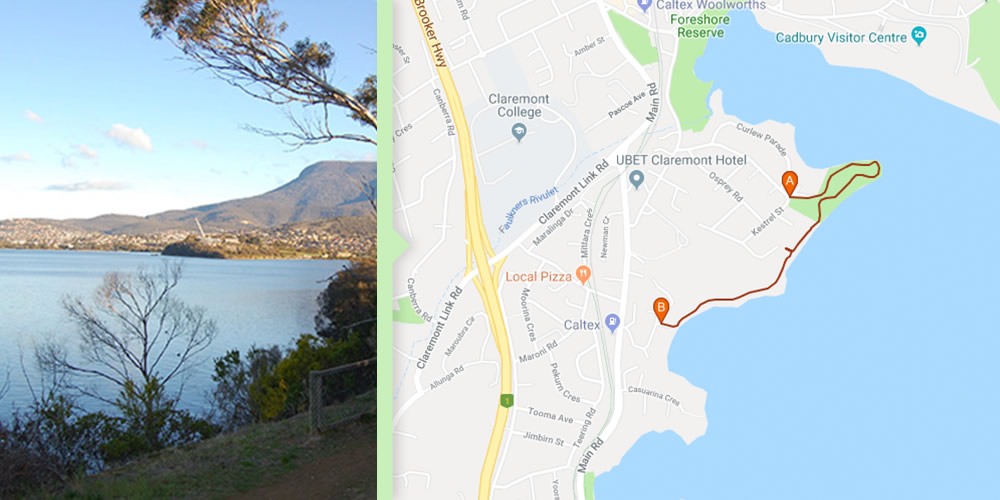 Dog Walks Hobart - Conneware Bay to Windermere Beach