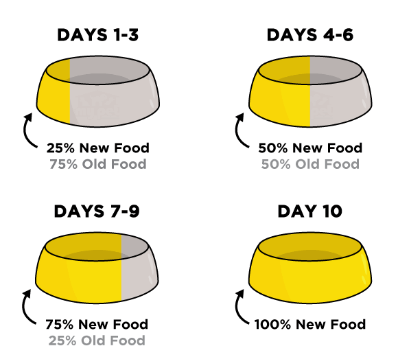 Transition Dog Food Chart Printable