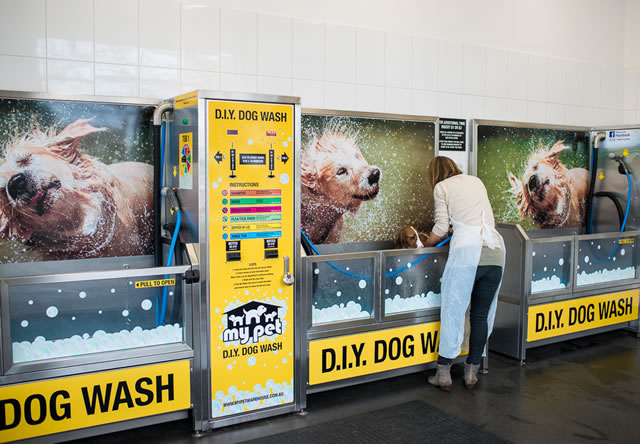 Diy Dog Wash And Grooming Salon Malvern My Pet Warehouse