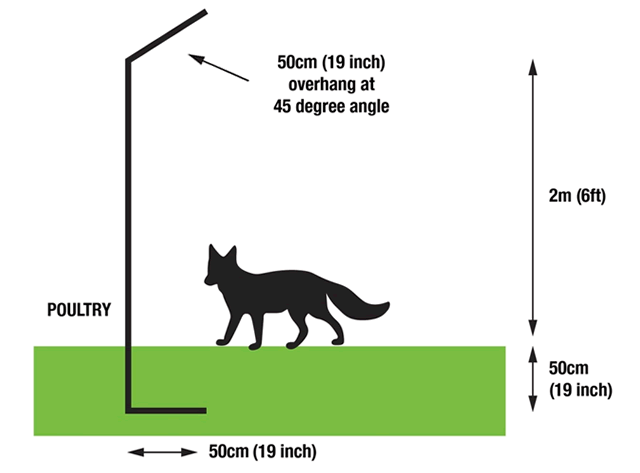 How to fox proof your chicken coop diagram