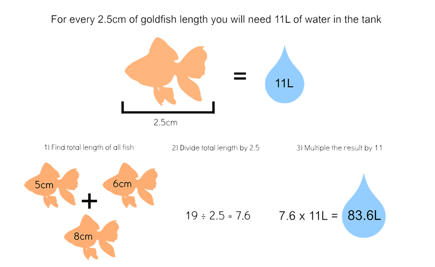 One goldfish tank size sale