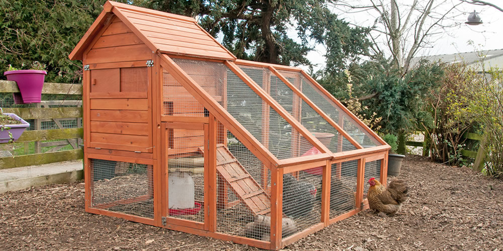 What is good chicken coop flooring? - My Pet Chicken