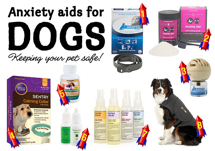 Dog anxiety medication outlet australia