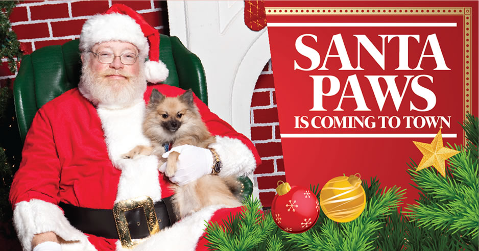 Pet Photos With Santa At My Pet Warehouse My Pet Warehouse