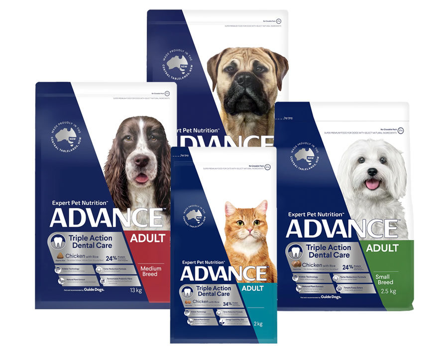 Advance dental best sale dog food