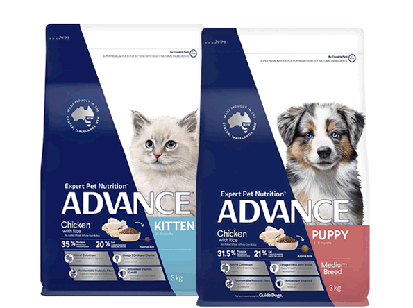 Discover Advance Puppy & Kitten Food - My Pet Warehouse